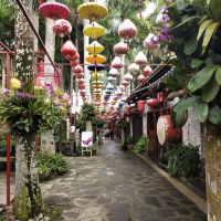 評論圖片 7