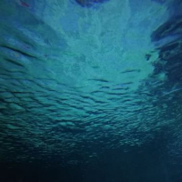 評論圖片 5