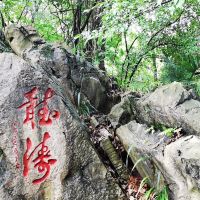 評論圖片 6
