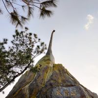 評論圖片 2