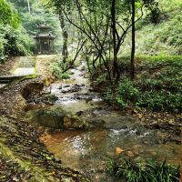 評論圖片 6