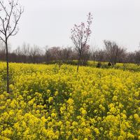 評論圖片 1