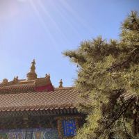 評論圖片 1