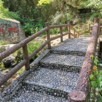 評論圖片 4