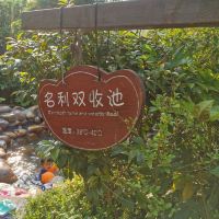 評論圖片 5