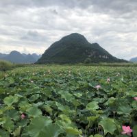 評論圖片 4