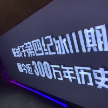 評論圖片 5