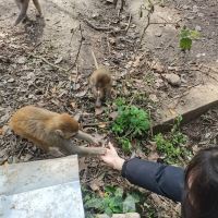 評論圖片 5