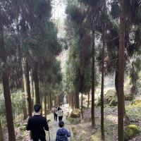 評論圖片 9