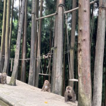 評論圖片 2