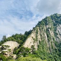 評論圖片 7