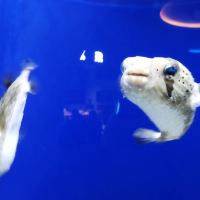 評論圖片 4