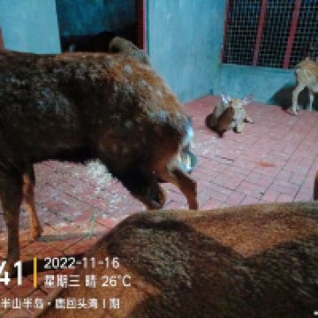評論圖片 9
