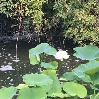 評論圖片 2