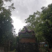 評論圖片 7
