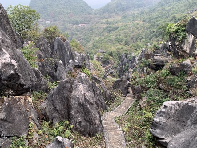 Jade Forest Scenic Area