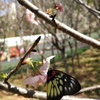 評論圖片 4