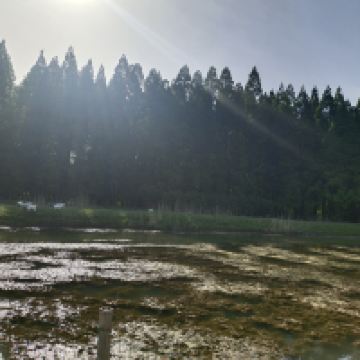 評論圖片 1