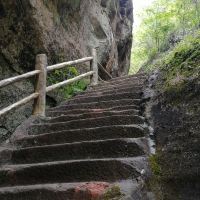 評論圖片 2