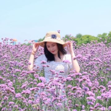 評論圖片 8
