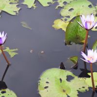 評論圖片 2