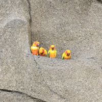 評論圖片 3