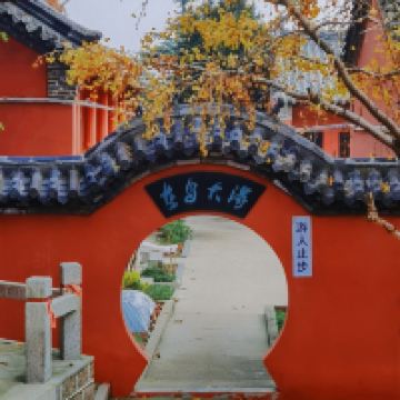 評論圖片 7
