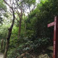 評論圖片 3