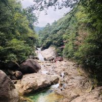評論圖片 9