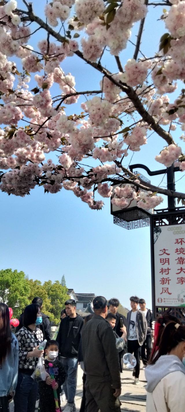천등고진