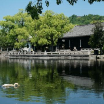 評論圖片 2
