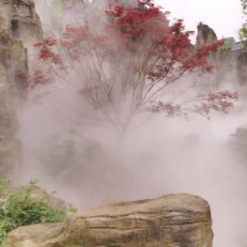 評論圖片 5
