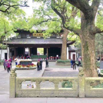 評論圖片 6