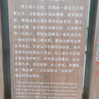 評論圖片 4