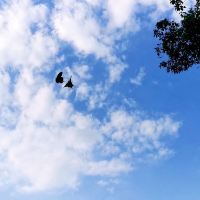 評論圖片 4