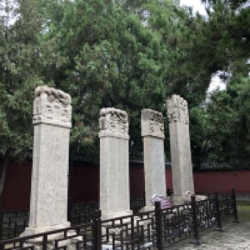評論圖片 6