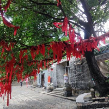 評論圖片 8