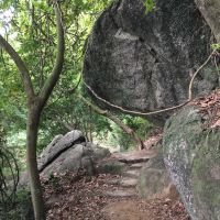 評論圖片 4
