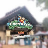 評論圖片 2