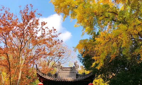 Jinshan Park