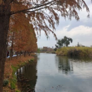 評論圖片 7