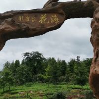 評論圖片 1