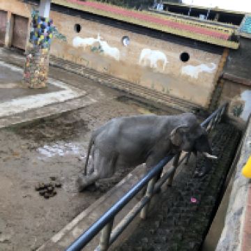 評論圖片 2