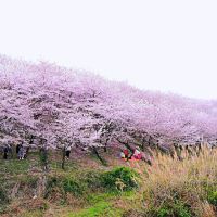 評論圖片 7