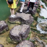評論圖片 2