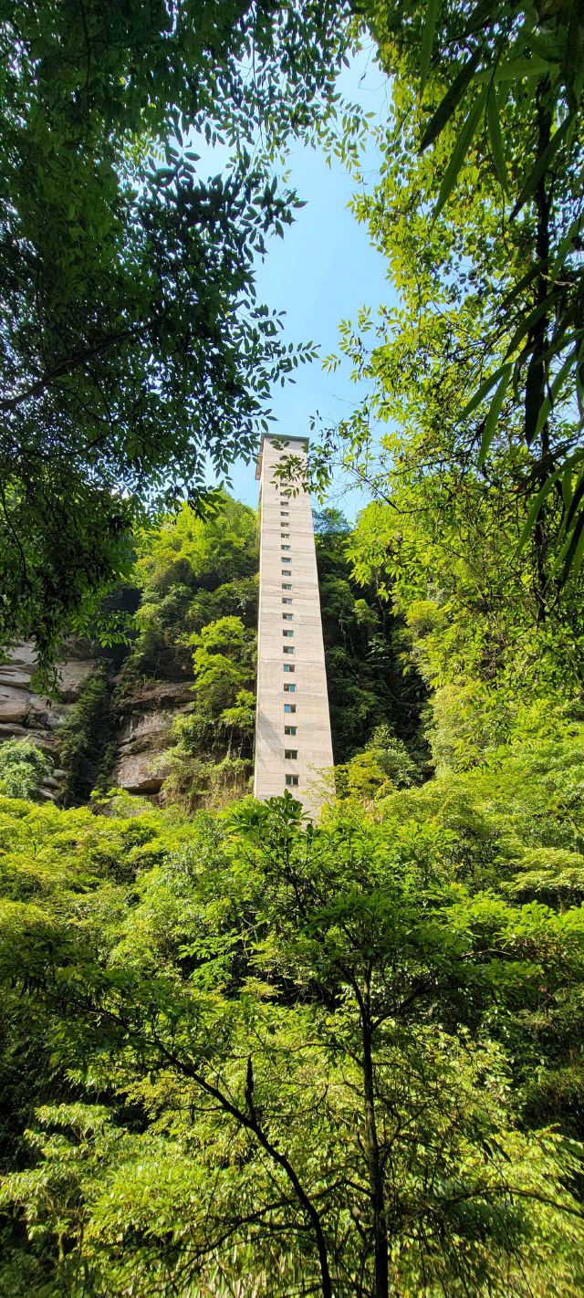 Bifengxia Giant Panda Base