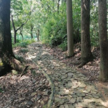 評論圖片 1
