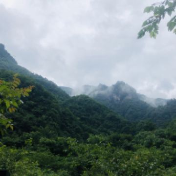 評論圖片 9
