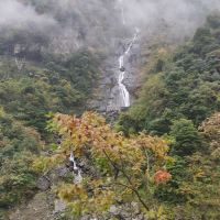 評論圖片 1
