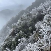 評論圖片 7